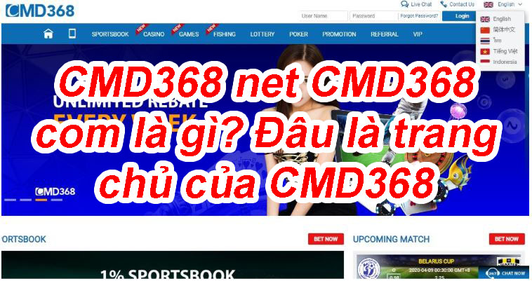 Đâu là trang chủ CMD368 - CMD368.net CMD368.com là gì? 1