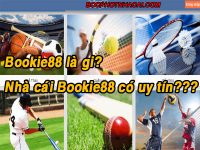 Đánh giá nhà cái Bookie88 - Link vào Bookie88 mới nhất 120
